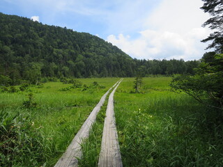 どこまでも続く木道
