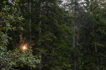Summer sunrise in Eibsee, Bavaria, South Germany. Europe