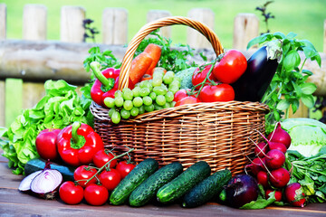 Variety of fresh organic vegetables in wicker basket