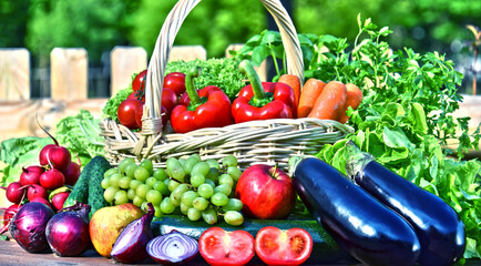 Variety of fresh organic vegetables in wicker basket