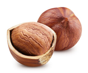 Hazelnut isolated on white background. Hazelnut half macro studio photo. With clipping path