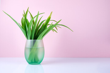 Spring flowers in glass vase on pastel background for postcards, greetings for Mother's Day, Valentine's Day. Copy space.