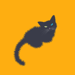 black cat bristly looking at you illustration 