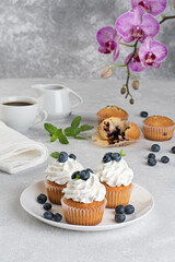Cupcakes with cream and blueberries on a gray background.