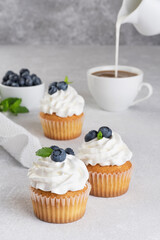 Cupcakes with cream and blueberries on a gray background.