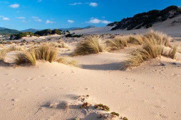 Dunes, Piscinas beach, Arbus, Medio Campidano Province, Sardinia, Italy, Europe
