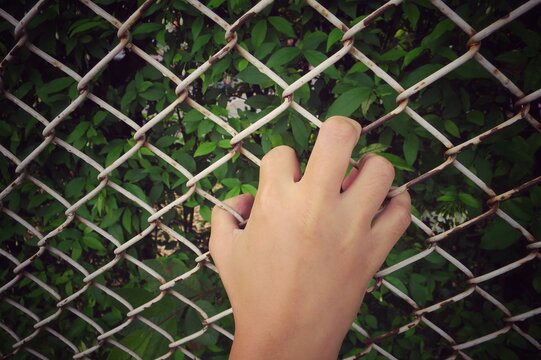 Female hand holding mesh fence, feeling no freedom and want to go to green world outside. Selective focus with vintage style picture. Earth day, environment and no freedom concept. - Powered by Adobe