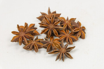 Star anise spice on white canvas background