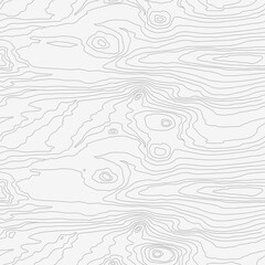 Wood grain white texture. Seamless wooden pattern. Abstract line background. Tree fiber vector illustration