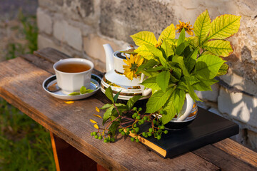 White porcelain tea cup on the wooden balcony with green wild grapes background. Warm healthy herbal drink. Natural beverages wallpaper. Hot brewed tea on fresh air. Cozy home weekend breakfast.