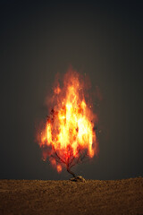 burning thorn bush christian symbol