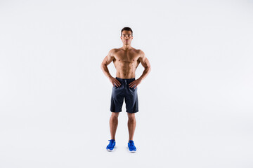 Obraz premium Full length body size view of his he nice attractive serious content sportive tanned tall guy ripped shape figure professional fighter competitor posing isolated on light white pastel color background