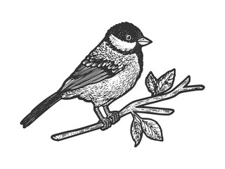 titmouse great tit bird on tree branch sketch engraving vector illustration. T-shirt apparel print design. Scratch board imitation. Black and white hand drawn image. © Oleksandr Pokusai