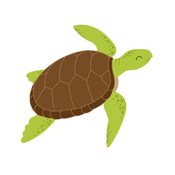 Smiling cartoon sea turtle. Vector doodle illustration of turtle. Cute sea animal isolated on white background. Wild ocean animal. Design for children books, t-stirt, card, textiles.