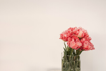 Obraz premium Beautiful pink peony flowers bouquet in glass vase on marble table on white background
