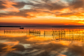 La Albufera