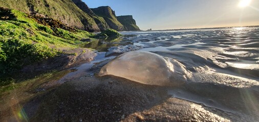 water on the beach