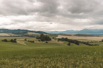 Fototapeta na wymiar Summer landscape of meadow with hills and cloudy sky