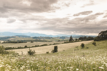 Summer meadow with hills and cloudy sky