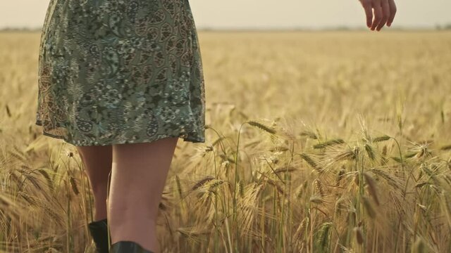 Back view of pretty woman wearing dress walking on wheat field