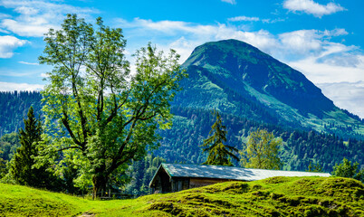 view at the isartal and karwendel mountains from the hochalm