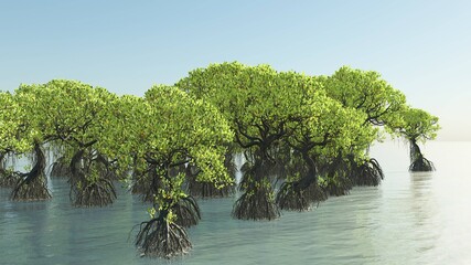 Red mangroves on Florida coast 3d rendering - 366035063