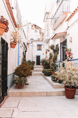 Spanish street with flowers and plants in Alicante Spain