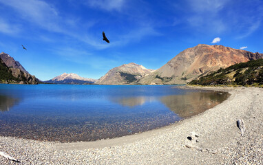 Over the blue lake the predatory condor turns