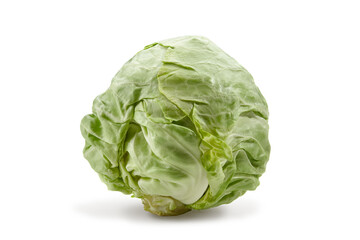 Fresh harvested, pale green cabbage isolated on white background. Smooth-leafed vegetable. Close up, copy space