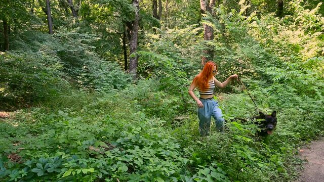 caucasian girl with long red hair is walking with her big dog, summer sunny day, green forest, woman is wearing a blue jeans, white top and black baseball cap. pet, domestic animal and people concept