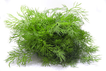 green dill isolated on white background