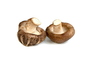 Shiitake Mushrooms isolated on white background