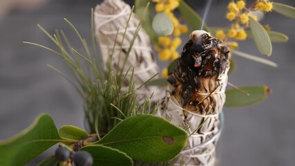 Dried white sage smudge stick, relaxation and aromatherapy. Smudging during psychic occult...