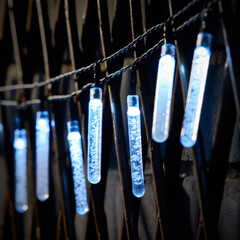 Bright lights hanging in the night garden