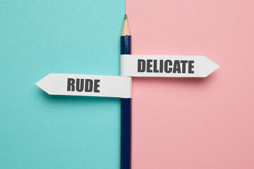 Pencil - direction indicator - choice of rude or delicate.