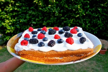 hand holding cake with berries