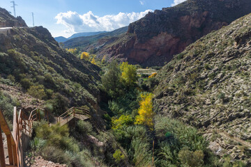 river with abundant vegetation surrounded by mountains