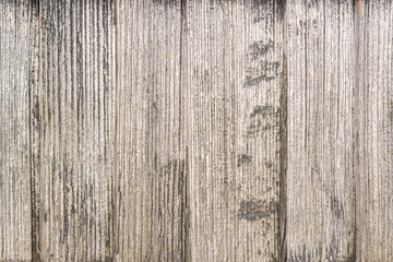 Naklejka premium Old Wooden texture.