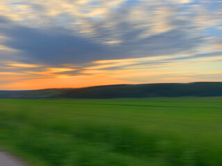 Meadow with green grass
