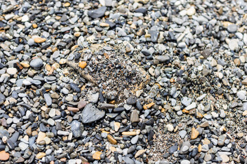 pebble stones at the sea
