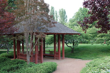 japanese garden in spring
