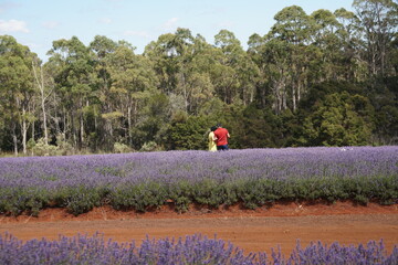 couple in field
