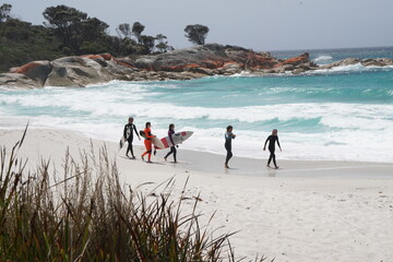 surfers on the beach