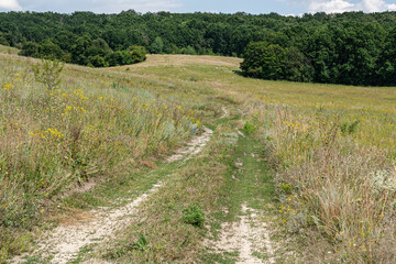 Crooked road in the village through green trees