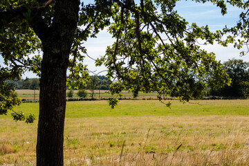 campagne haute corrèze