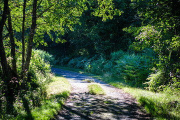 campagne haute corr&egrave;ze