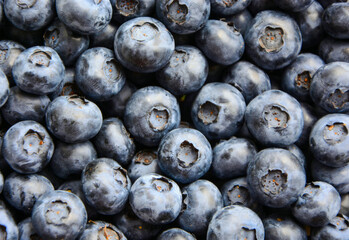 Fresh big blueberry top view close up. Bueberry pattern