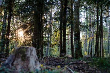 campagne haute corrèze