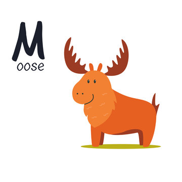 Funny image of moose and letter M. Zoo alphabet collection.