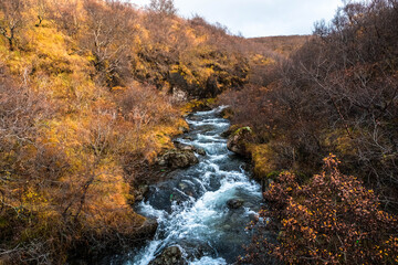 The river that flows down from Svartifoss a spectacular waterfall in Skaftafell National Park,...